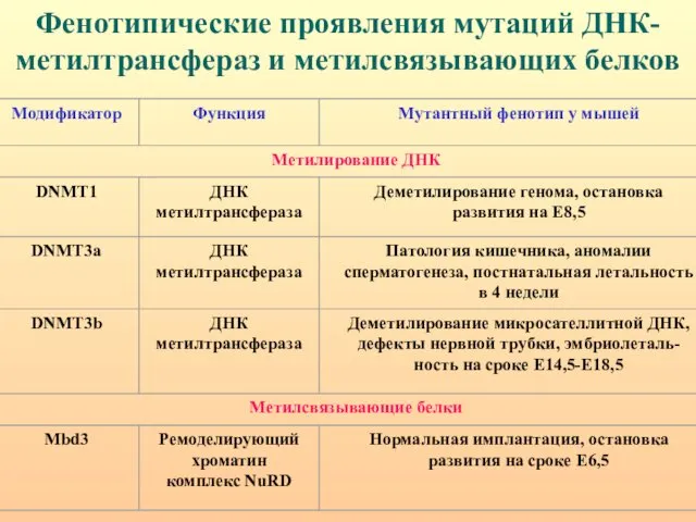 Фенотипические проявления мутаций ДНК-метилтрансфераз и метилсвязывающих белков