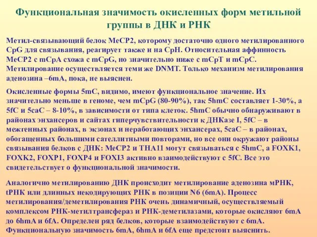 Метил-связывающий белок MeCP2, которому достаточно одного метилированного CpG для связывания, реагирует