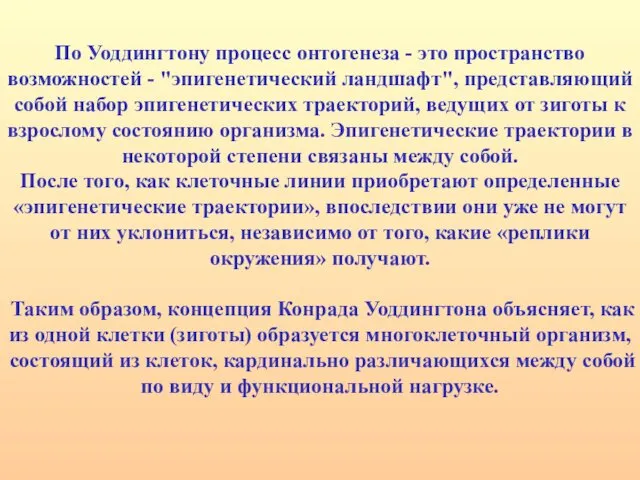 По Уоддингтону процесс онтогенеза - это пространство возможностей - "эпигенетический ландшафт",