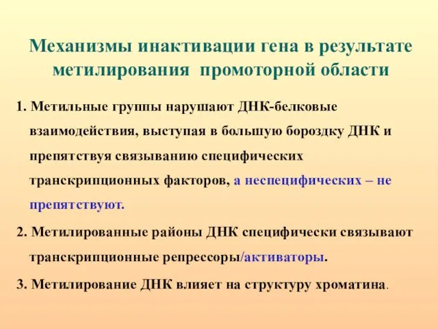 Механизмы инактивации гена в результате метилирования промоторной области 1. Метильные группы