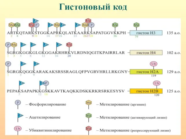 Гистоновый код