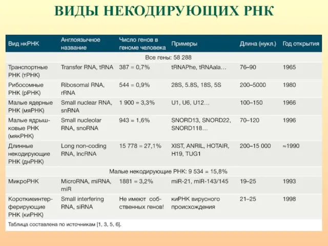 ВИДЫ НЕКОДИРУЮЩИХ РНК