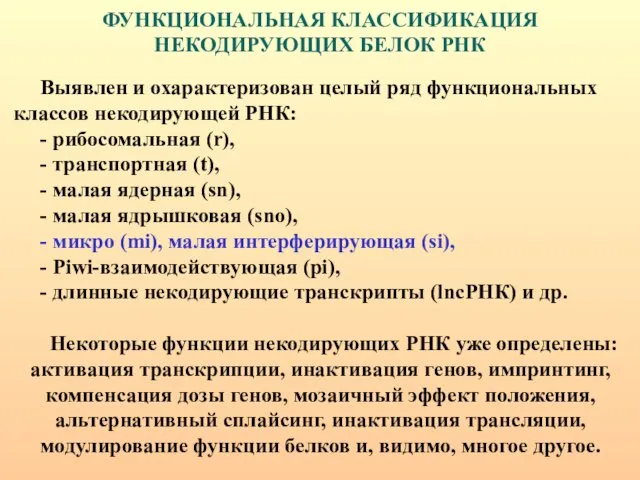 Выявлен и охарактеризован целый ряд функциональных классов некодирующей РНК: - рибосомальная