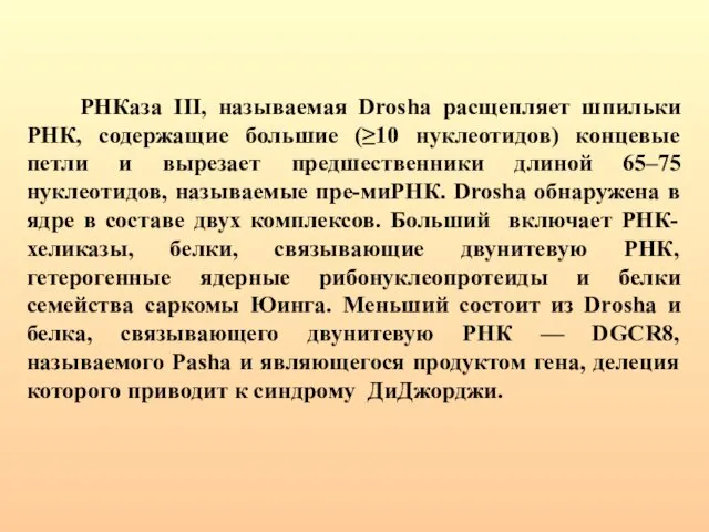 РНКаза III, называемая Drosha расщепляет шпильки РНК, содержащие большие (≥10 нуклеотидов)