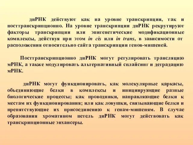 днРНК действуют как на уровне транскрипции, так и посттранскрипционно. На уровне