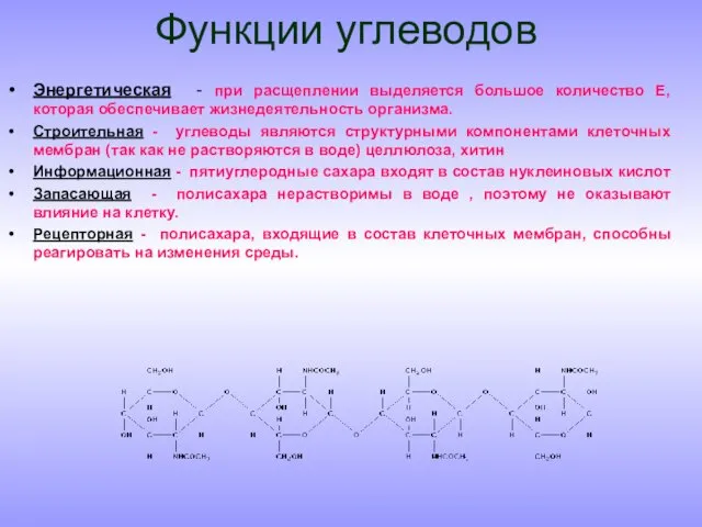 Функции углеводов Энергетическая - при расщеплении выделяется большое количество Е, которая