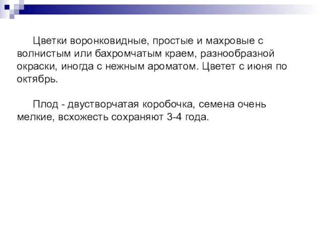 Цветки воронковидные, простые и махровые с волнистым или бахромчатым краем, разнообразной