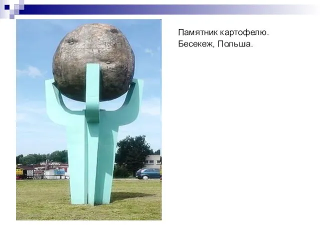 Памятник картофелю. Бесекеж, Польша.
