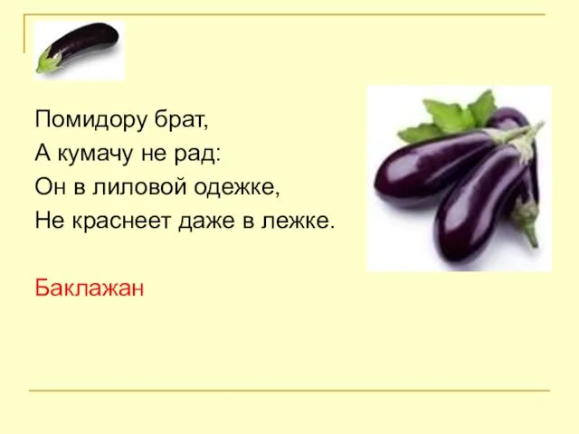 Помидору брат, А кумачу не рад: Он в лиловой одежке, Не краснеет даже в лежке. Баклажан