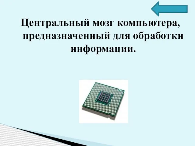 Центральный мозг компьютера, предназначенный для обработки информации.