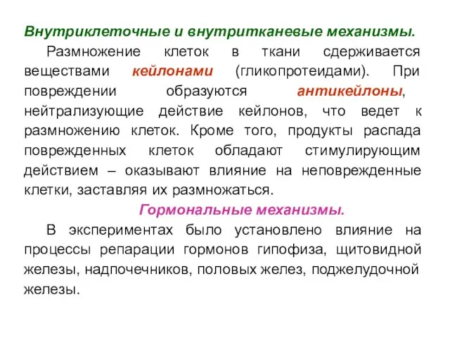 Внутриклеточные и внутритканевые механизмы. Размножение клеток в ткани сдерживается веществами кейлонами