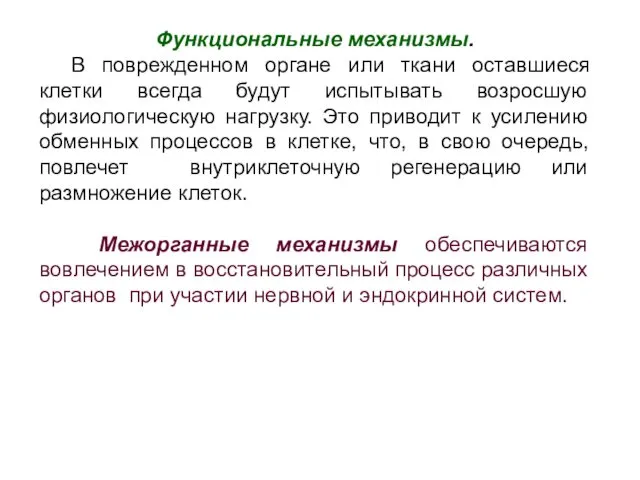 Функциональные механизмы. В поврежденном органе или ткани оставшиеся клетки всегда будут