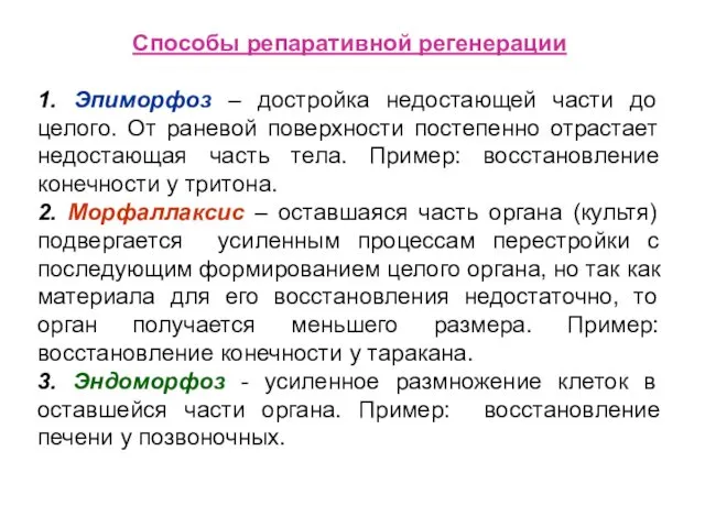 Способы репаративной регенерации 1. Эпиморфоз – достройка недостающей части до целого.