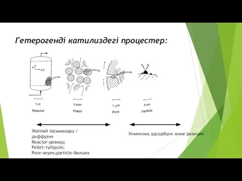 Гетерогенді катилиздегі процестер: Жаппай тасымалдау / диффузия Reactor-реакор; Pellet-түйіршік; Pore-кеуек;particle-бөлшек Химиялық адсорбция және реакция