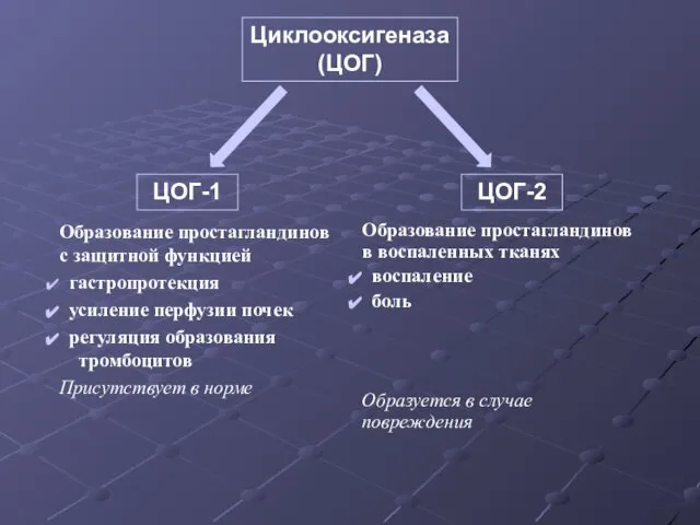 Образование простагландинов с защитной функцией гастропротекция усиление перфузии почек регуляция образования