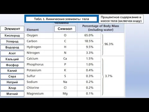 Табл. 1. Химические элементы тела человека Кислород Углерод Водород Азот Кальций
