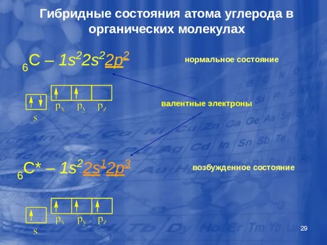 Гибридные состояния атома углерода в органических молекулах