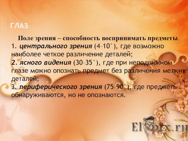 ГЛАЗ Поле зрения – способность воспринимать предметы. 1. центрального зрения (4–10°),