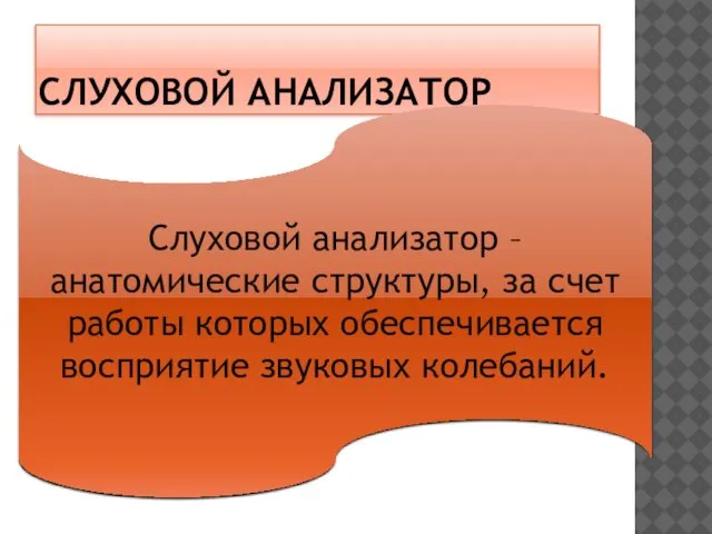 СЛУХОВОЙ АНАЛИЗАТОР Слуховой анализатор – анатомические структуры, за счет работы которых обеспечивается восприятие звуковых колебаний.