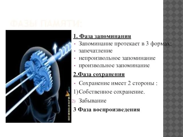 ФАЗЫ ПАМЯТИ: 1. Фаза запоминания Запоминание протекает в 3 формах: запечатление