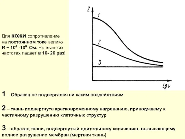 1 – Образец не подвергался ни каким воздействиям 2 – ткань