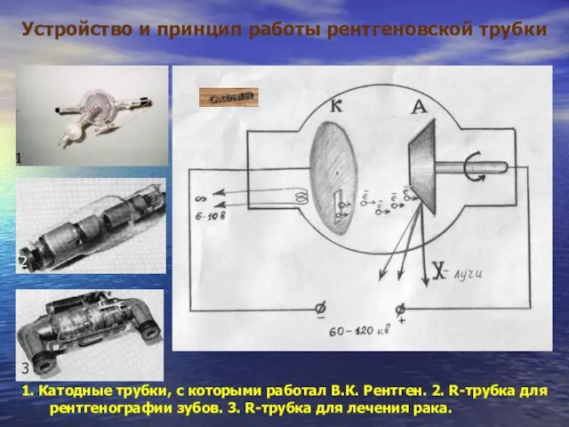 Устройство и принцип работы рентгеновской трубки 1 2 3 1. Катодные