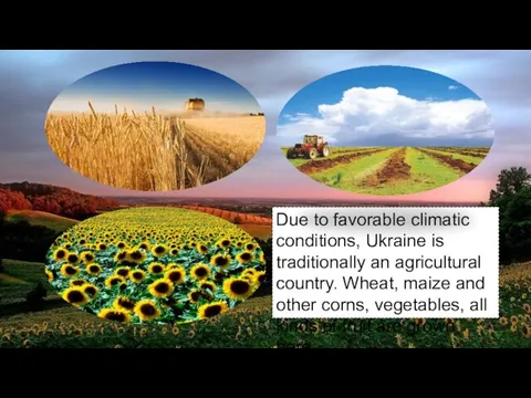 Due to favorable climatic conditions, Ukraine is traditionally an agricultural country.