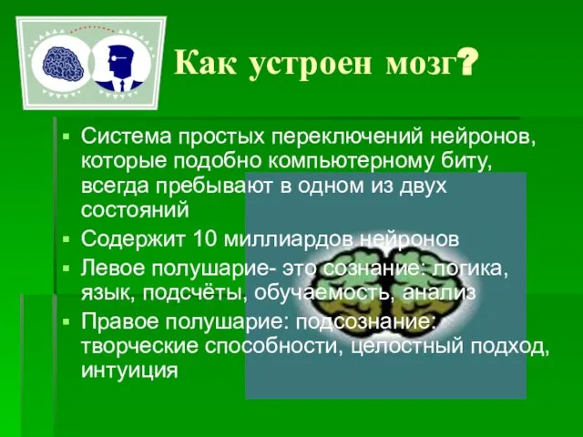 Как устроен мозг? Система простых переключений нейронов, которые подобно компьютерному биту,