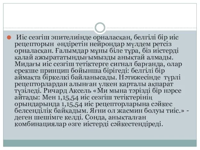 Иіс сезгіш эпителиінде орналасқан, белгілі бір иіс рецепторын өндіретін нейрондар мүлдем