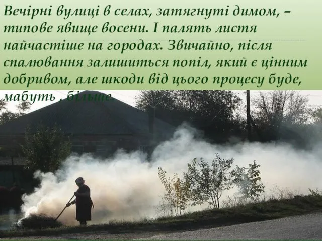 Вечірні вулиці в селах, затягнуті димом, – типове явище восени. І