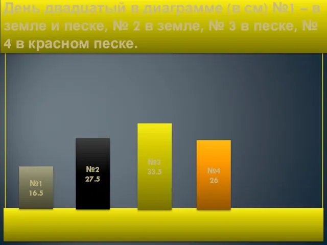 День двадцатый в диаграмме (в см) №1 – в земле и