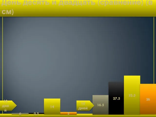 День десять и двадцать (сравнение) (в см) 3 16.5 27.5 33.5