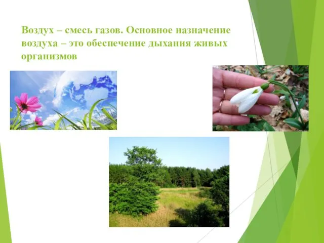 Воздух – смесь газов. Основное назначение воздуха – это обеспечение дыхания живых организмов