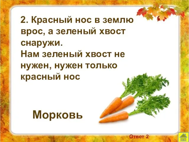 2. Красный нос в землю врос, а зеленый хвост снаружи. Нам