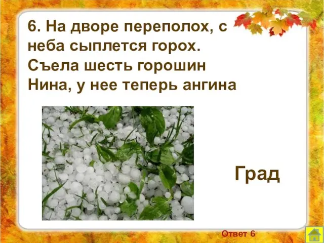 6. На дворе переполох, с неба сыплется горох. Съела шесть горошин