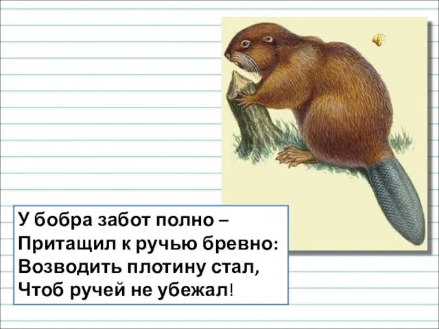 У бобра забот полно – Притащил к ручью бревно: Возводить плотину стал, Чтоб ручей не убежал!