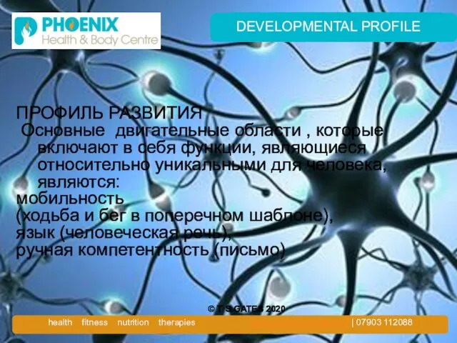 DEVELOPMENTAL PROFILE ПРОФИЛЬ РАЗВИТИЯ Основные двигательные области , которые включают в