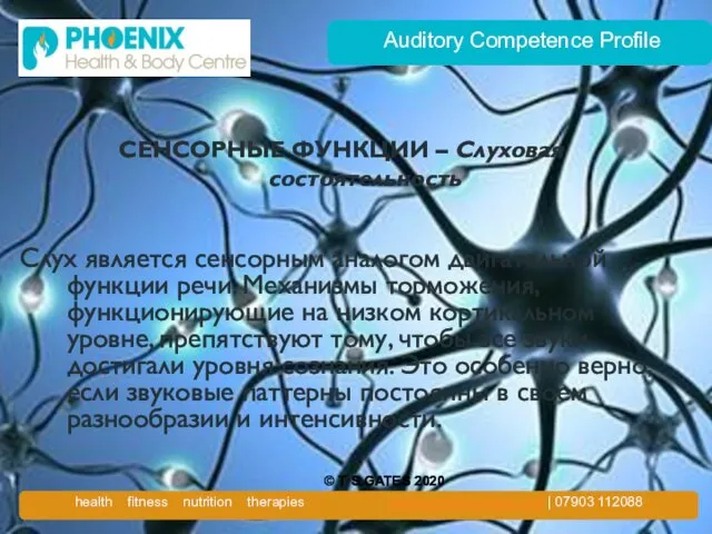 Auditory Competence Profile СЕНСОРНЫЕ ФУНКЦИИ – Слуховая состоятельность Слух является сенсорным