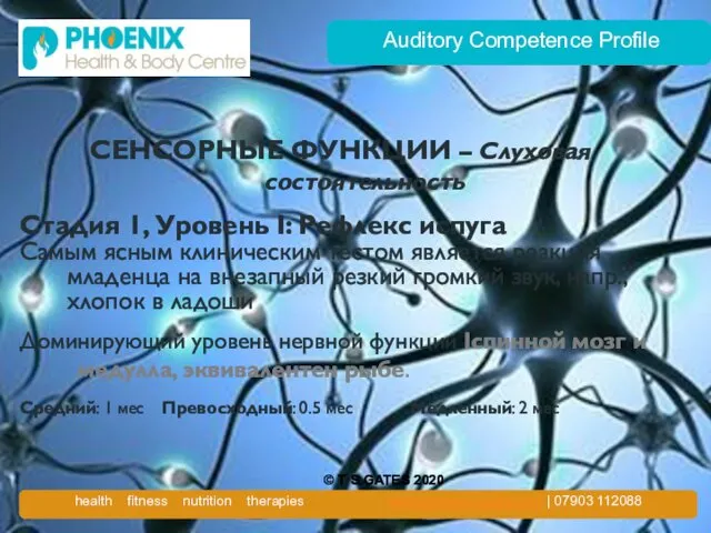 Auditory Competence Profile СЕНСОРНЫЕ ФУНКЦИИ – Слуховая состоятельность Стадия 1, Уровень