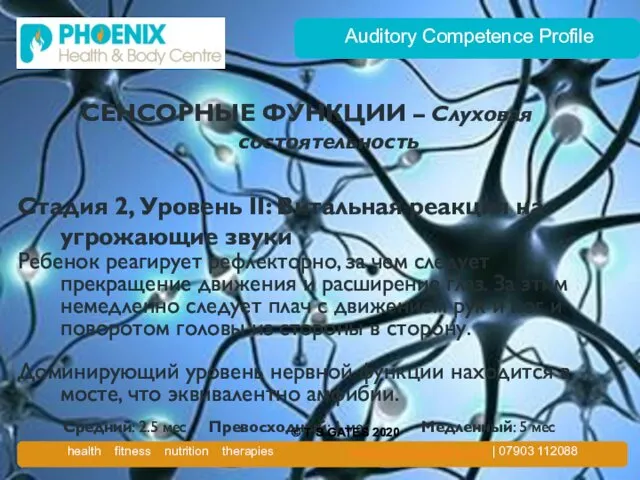 Auditory Competence Profile СЕНСОРНЫЕ ФУНКЦИИ – Слуховая состоятельность Стадия 2, Уровень