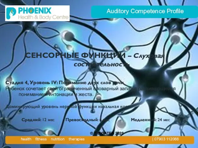 Auditory Competence Profile СЕНСОРНЫЕ ФУНКЦИИ – Слуховая состоятельность Стадия 4, Уровень