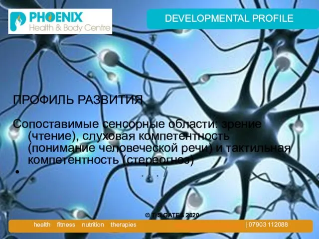 DEVELOPMENTAL PROFILE ПРОФИЛЬ РАЗВИТИЯ Сопоставимые сенсорные области: зрение (чтение), слуховая компетентность