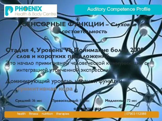 Auditory Competence Profile СЕНСОРНЫЕ ФУНКЦИИ – Слуховая состоятельность Стадия 4, Уровень