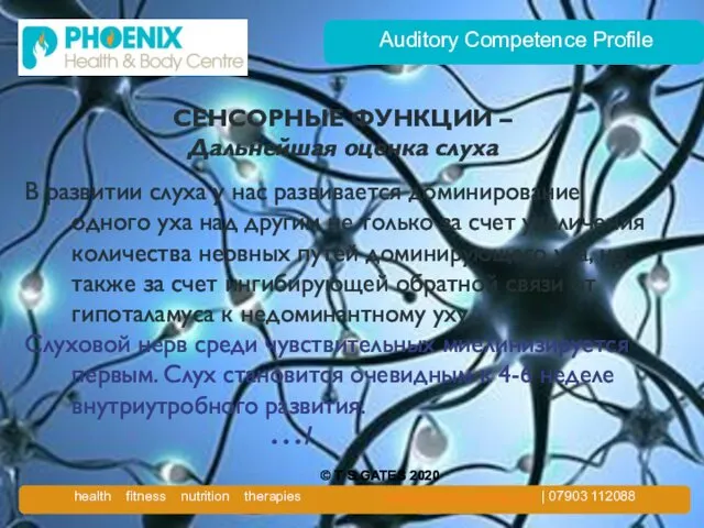 Auditory Competence Profile СЕНСОРНЫЕ ФУНКЦИИ – Дальнейшая оценка слуха В развитии