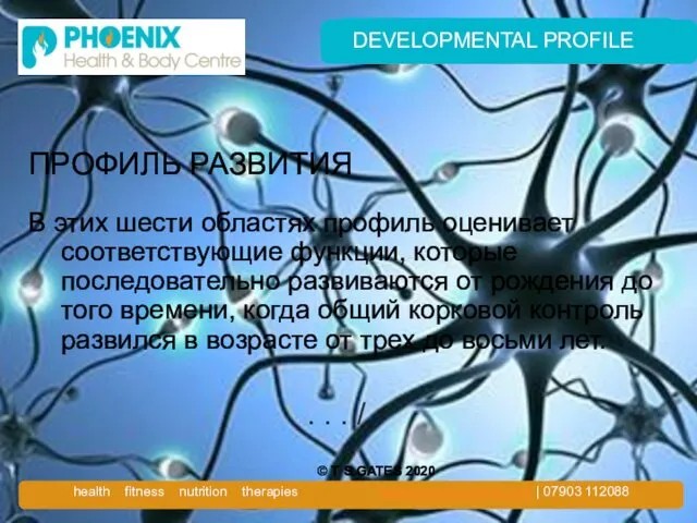 DEVELOPMENTAL PROFILE ПРОФИЛЬ РАЗВИТИЯ В этих шести областях профиль оценивает соответствующие