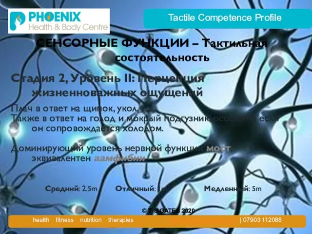 Tactile Competence Profile СЕНСОРНЫЕ ФУНКЦИИ – Тактильная состоятельность Стадия 2, Уровень