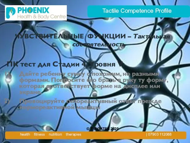 Tactile Competence Profile ЧУВСТВИТЕЛЬНЫЕ ФУНКЦИИ – Tактильная состоятельность ПК тест для