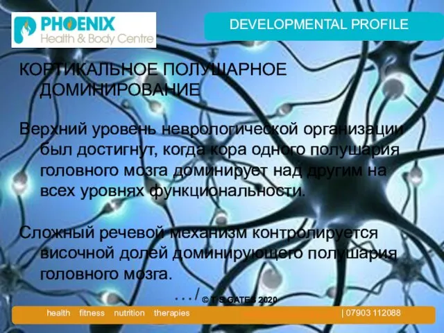 DEVELOPMENTAL PROFILE КОРТИКАЛЬНОЕ ПОЛУШАРНОЕ ДОМИНИРОВАНИЕ Верхний уровень неврологической организации был достигнут,