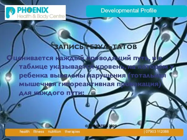 Developmental Profile ЗАПИСЬ РЕЗУЛЬТАТОВ Оценивается каждый проводящий путь, и в таблице