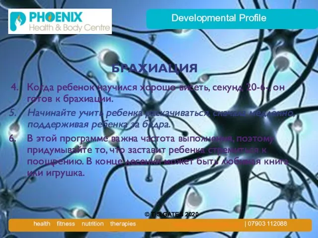 Developmental Profile БРАХИАЦИЯ 4. Когда ребенок научился хорошо висеть, секунд 20-6-,